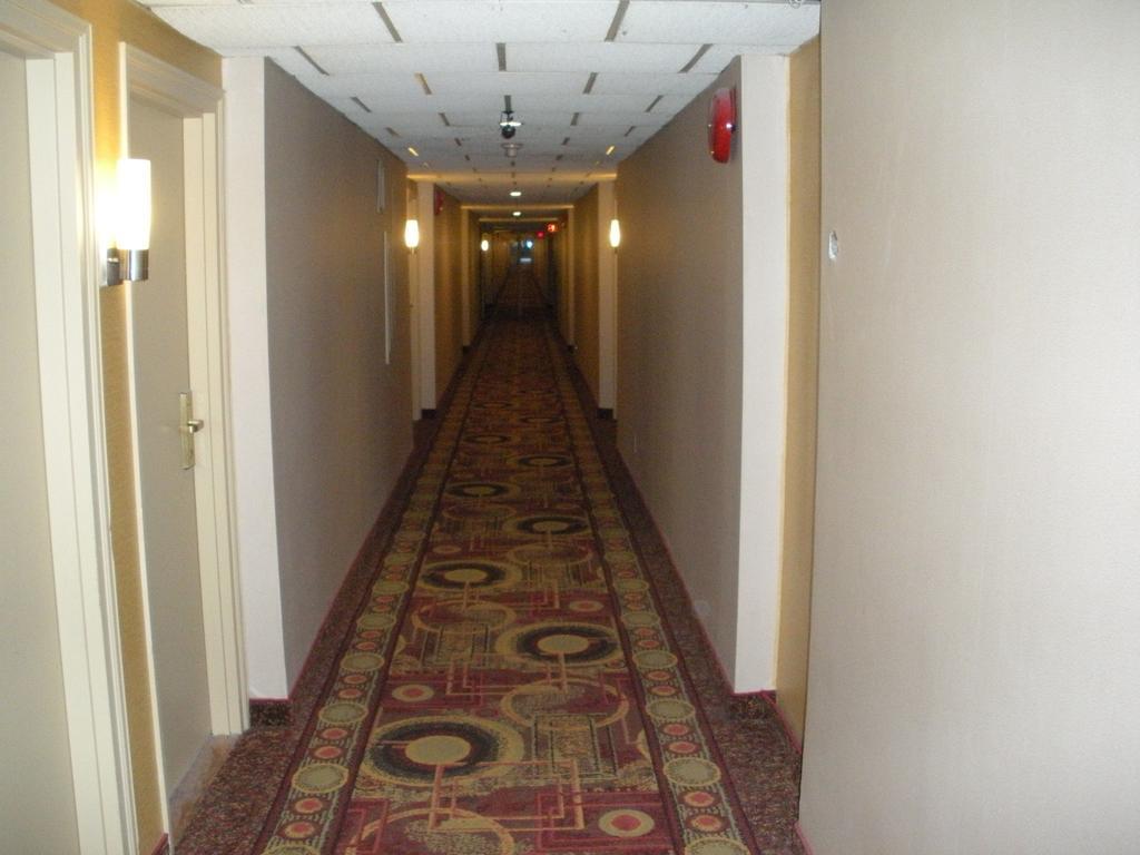 טורונטו Comfort Inn East Scarborough מראה חיצוני תמונה